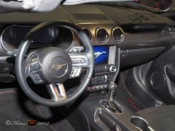 Vienna Drive 15.01.2026